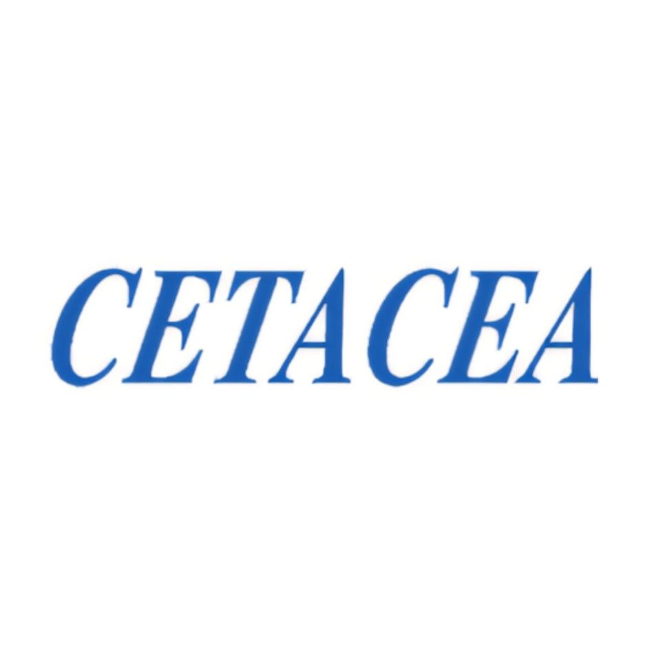 Cetacea