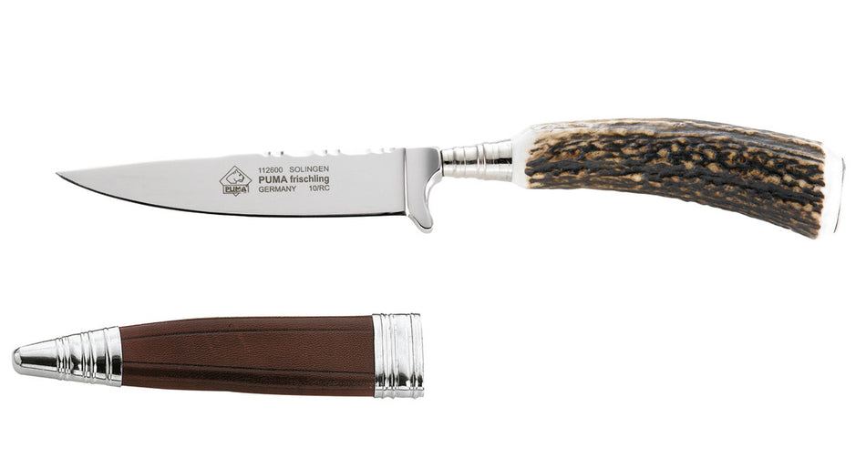 PUMA Solingen - Frischling, Hirschhorn